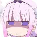 6735kannadisgusted