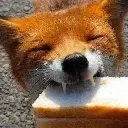 foxbread