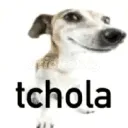 tchola