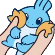 MudkipSquish