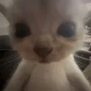 icanseeyou