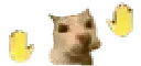 Funky_cat