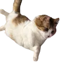 here_i_come