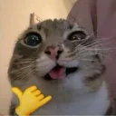 Cool_cat