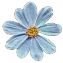 blue_003