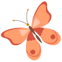 orange_001