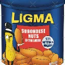 ligma