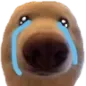 SOB
