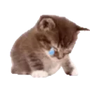emoji_67
