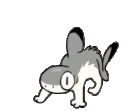 SharkKitty_Spike_Run SharkKitty_Spike_Run