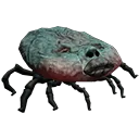 tick