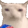 vkeiXfunnyCateating vkeiXfunnyCateating