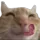 swagyum