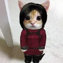 ADACAT