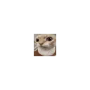 microhuhich microhuhich