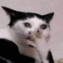 BRUH custom emote | 𝗲𝗿𝗿𝗼𝗿-𝟲𝟲𝟲