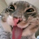 :emoji_14: