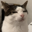emoji_16 Discord sticker from 𝗲𝗿𝗿𝗼𝗿-𝟲𝟲𝟲