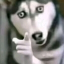 emoji_20 custom emote | 𝗲𝗿𝗿𝗼𝗿-𝟲𝟲𝟲
