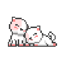 5240catcuddle