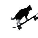 16962skateboardingkitty