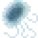 57252jellyfish
