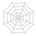 97026spiderweb