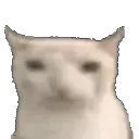 catnotEat