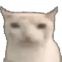 catnotEat
