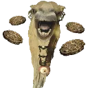 ProfitCamel