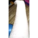 arm