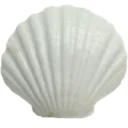 white004
