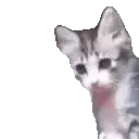yo