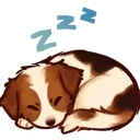 2r_puppysleepjackrussel