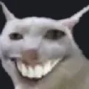 XD