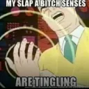 slapabitchsense