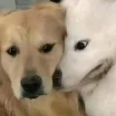 imlistening