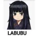 araya_labubu