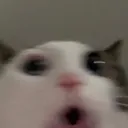 oooo