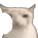 cateaten cateaten