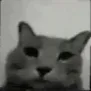 huh