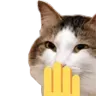 catgiggle