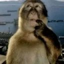 monkey_think