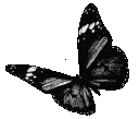 emoji_171