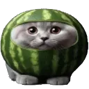meloncat