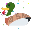 4m_duck