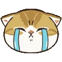 Cry