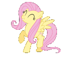 fluttershy19