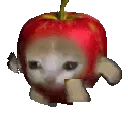 apple_run apple_run