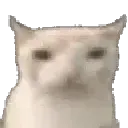 goodcateat goodcateat